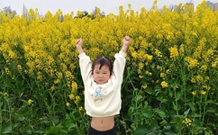 麻豆京东传媒精品2021